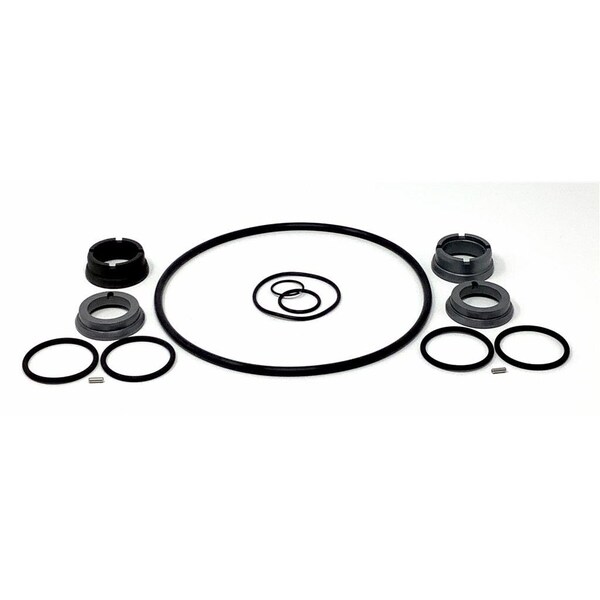 W+ 35/55 Pump Service Kit, SC/SC/C/FKM 25mm; Replaces AMPCO Part# L808591